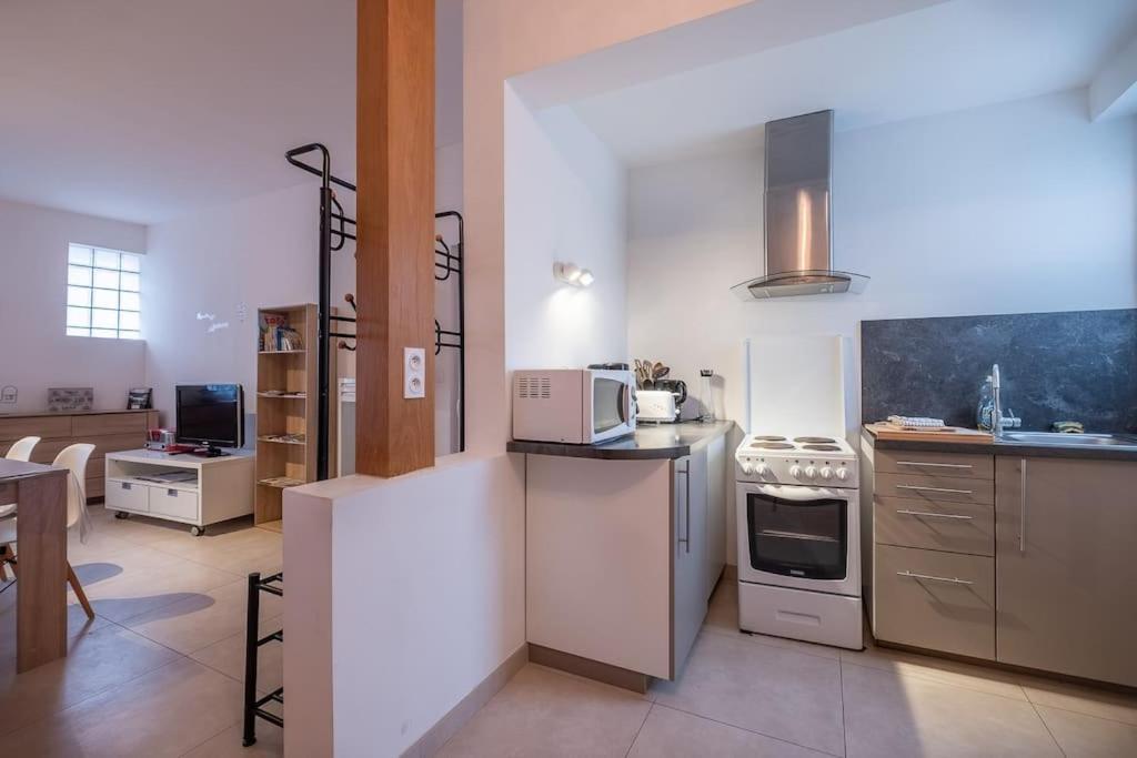 Le Dauphin Appartement Amboise Buitenkant foto
